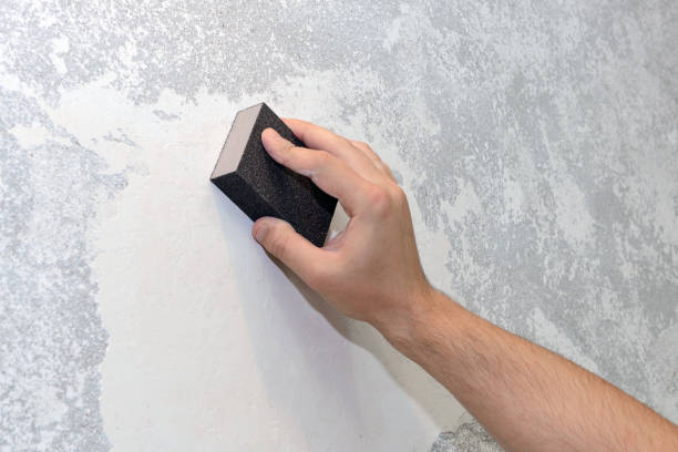 Best Dehumidification Services  in Ruch, OR