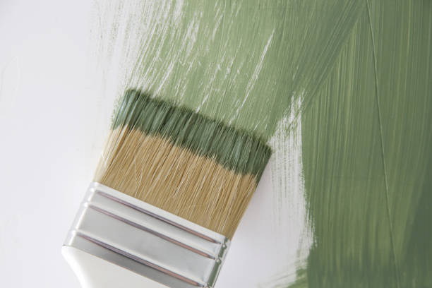 Best Attic Mold Removal  in Ruch, OR
