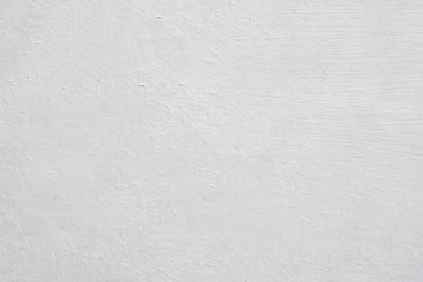 Best Mold Remediation for Healthcare Facilities  in Ruch, OR