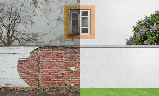 Best Comprehensive Air Testing for Mold Contaminants  in Ruch, OR