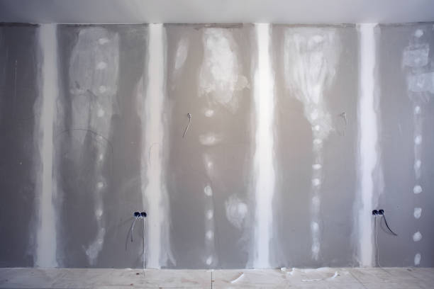 Best Black Mold Removal  in Ruch, OR